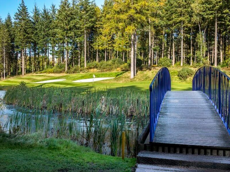 Remedy Oak golf club, golf course, bridge, forest, river, golf vacation, holidays in england