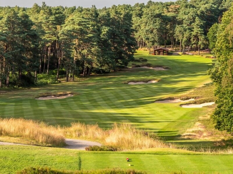 Sunningdale Golf club Old course, golf course, vacation, forest hilly fairways, hlidays in england
