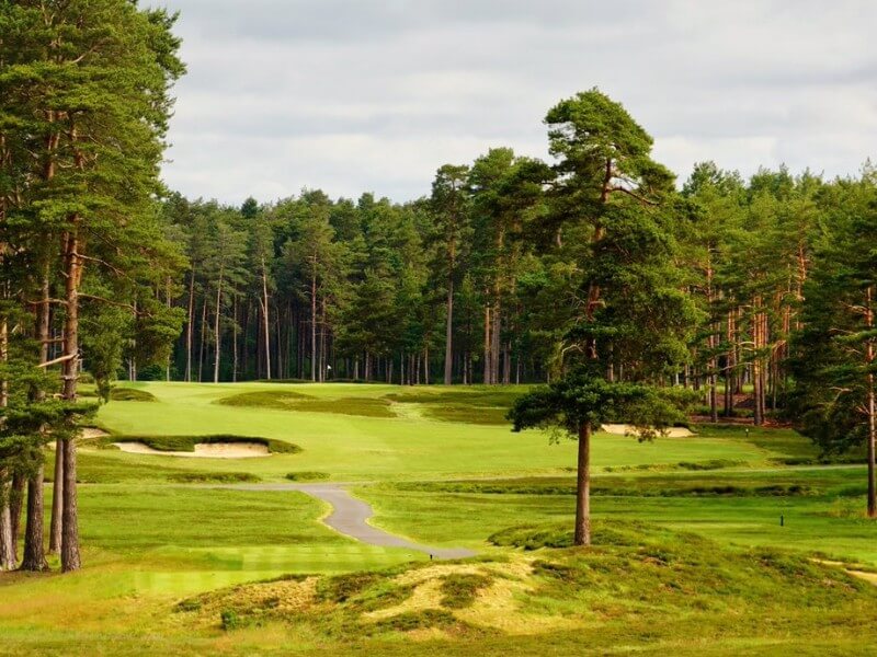 Swinley Forest Golf Club, golf course, forest, glade, golf holidays, golf trip, vacations in england