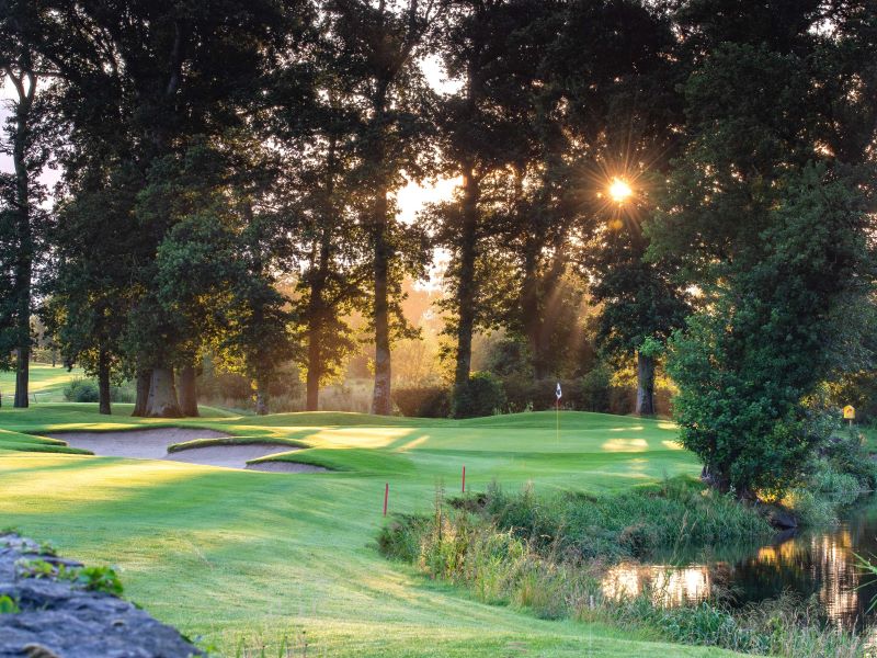 Coxmoor Golf club Nottingham, golf course, forest, bunker, sun, golf vacation, holidays and golf