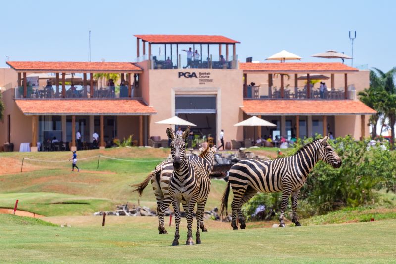 golf Vipingo Ridge golf course kenya