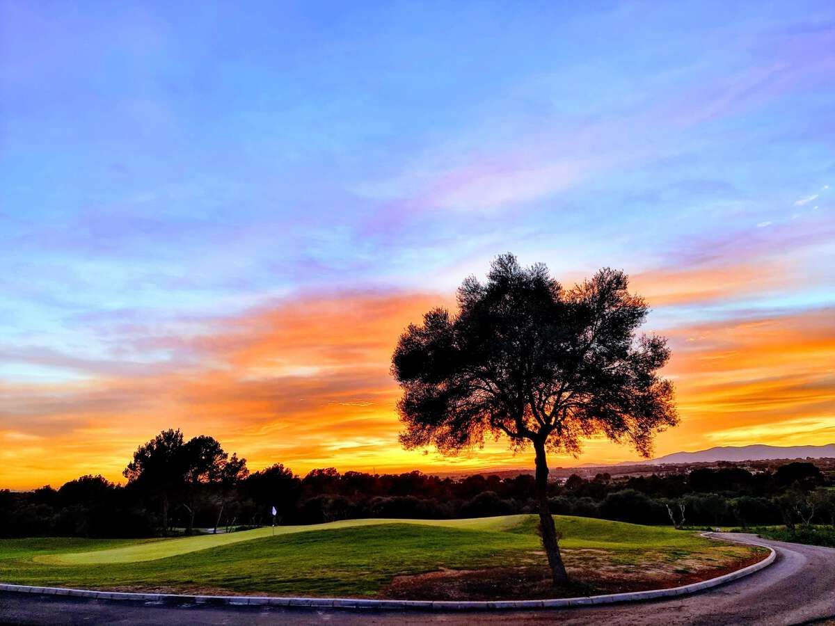 Golf Park Puntiró, golfplatz, baum , sonnenuntergang, bunter himmel, 