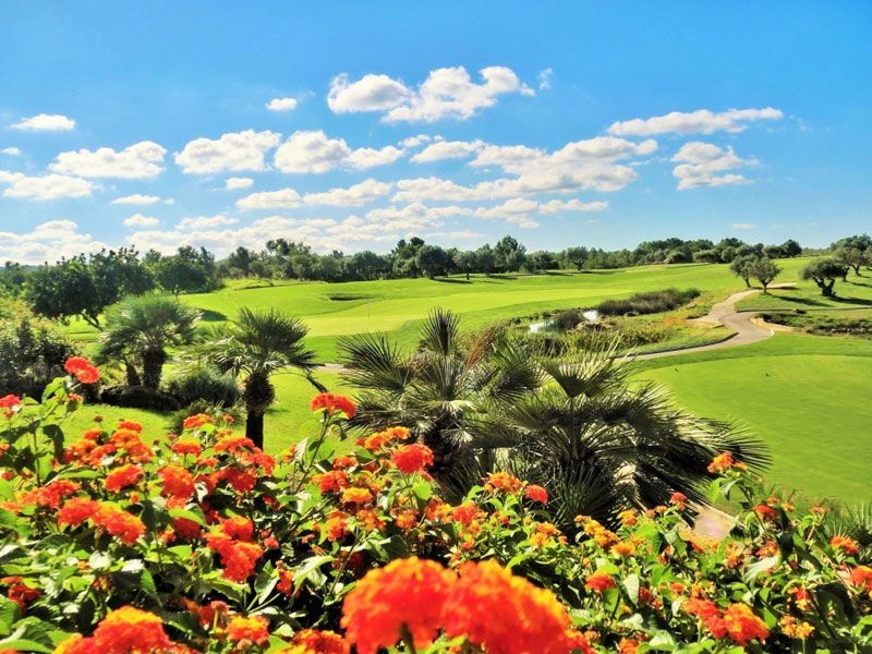 Golf Son Gual