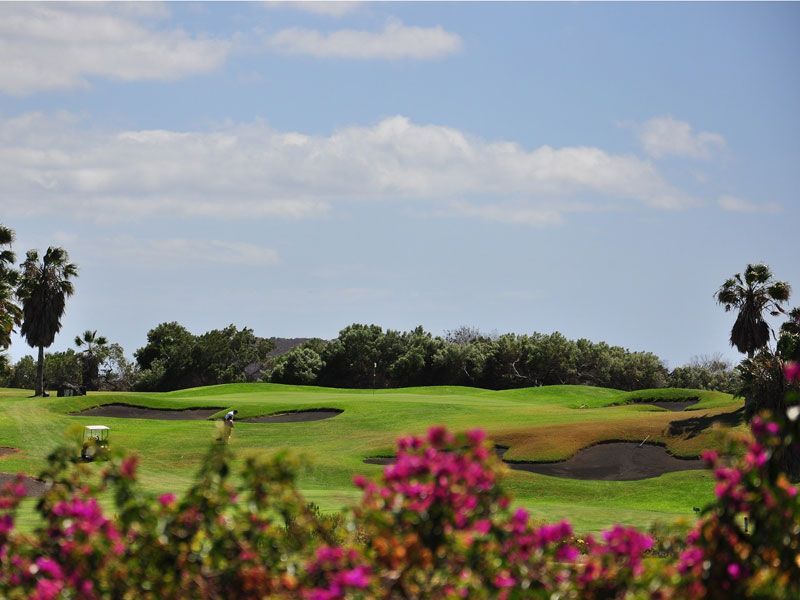 Sonne einzelne Wolken Golfplatz Bäume im Vodergrund pinke Blumen